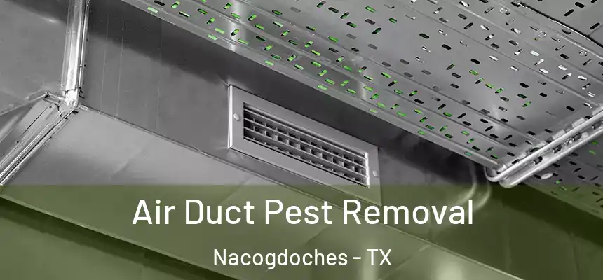 Air Duct Pest Removal Nacogdoches - TX