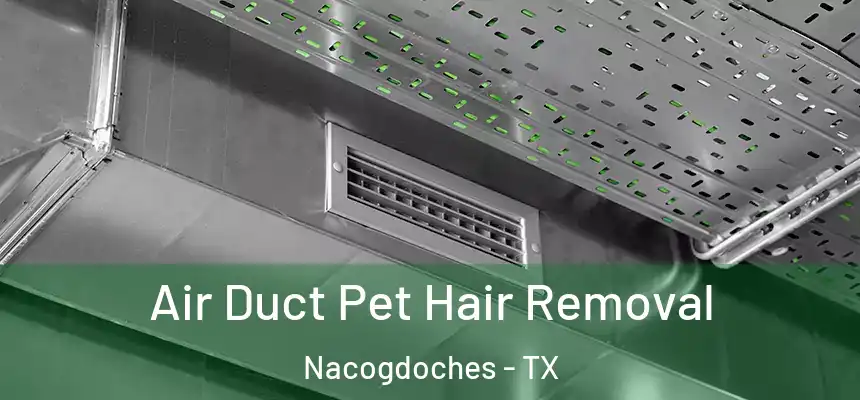  Air Duct Pet Hair Removal Nacogdoches - TX