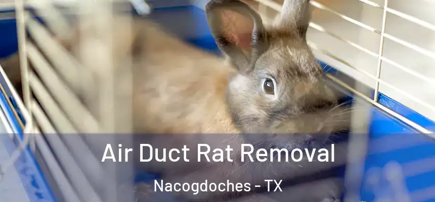 Air Duct Rat Removal Nacogdoches - TX