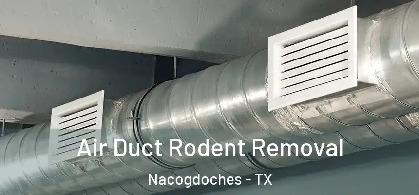 Air Duct Rodent Removal Nacogdoches - TX
