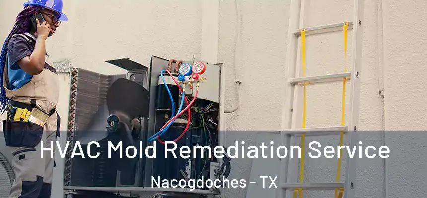 HVAC Mold Remediation Service Nacogdoches - TX