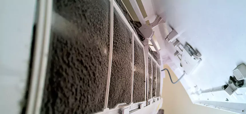 Preventive Air Duct Bacteria Removal in Nacogdoches