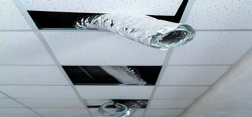 Affordable HVAC Sanitizing After Pest Removal in Nacogdoches