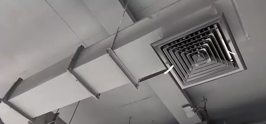 Our Pest Removal From Ducts Services in Nacogdoches, TX