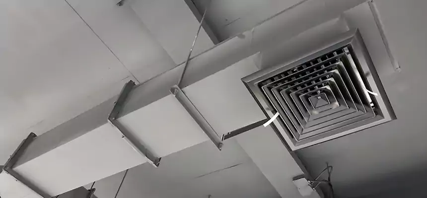 Our Rodent Droppings In Vents Services in Nacogdoches, TX