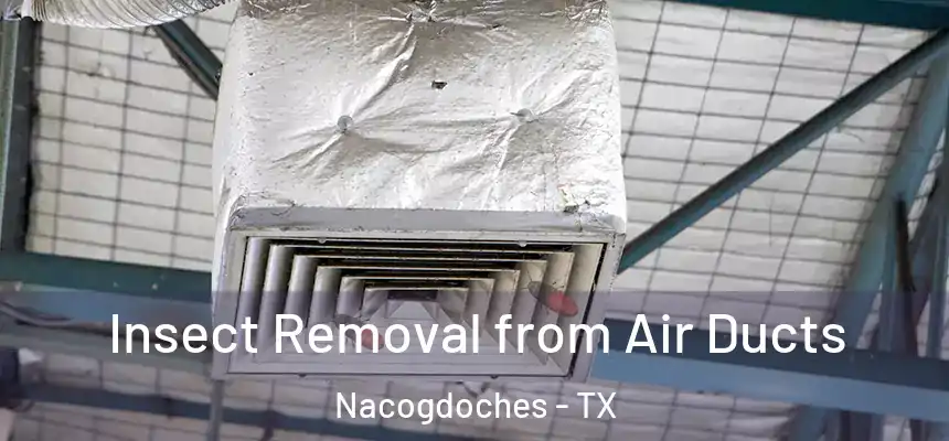  Insect Removal from Air Ducts Nacogdoches - TX