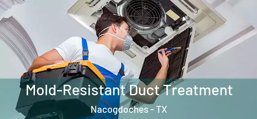 Mold-Resistant Duct Treatment Nacogdoches - TX