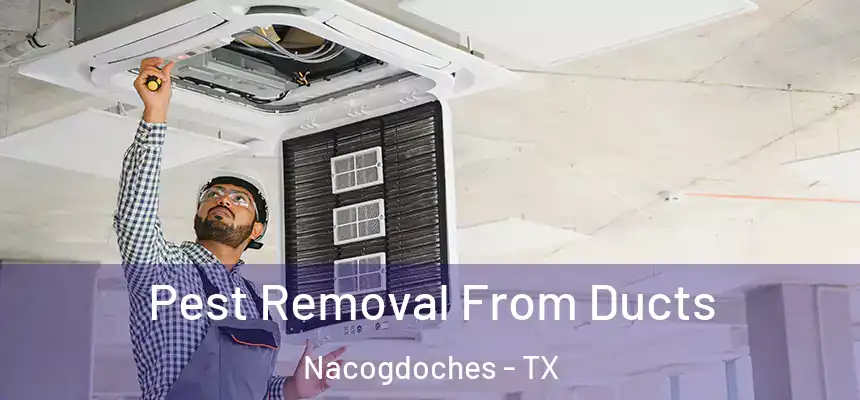  Pest Removal From Ducts Nacogdoches - TX