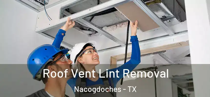 Roof Vent Lint Removal Nacogdoches - TX