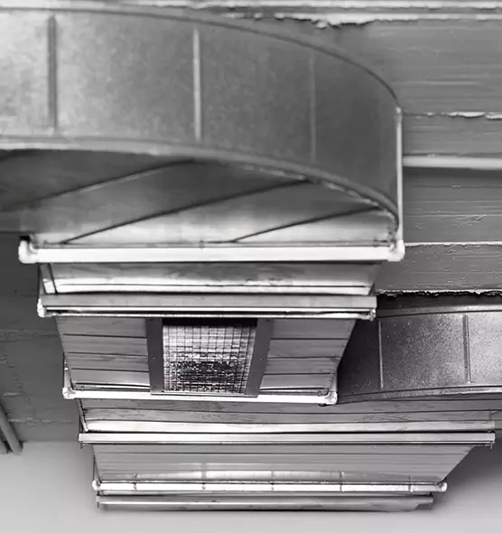 Professional Air Duct Pest Removal in Nacogdoches, TX