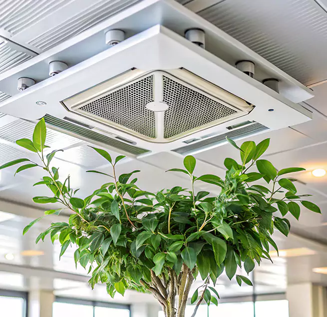 Why Homeowners & Businesses Trust Us in Nacogdoches, TX?