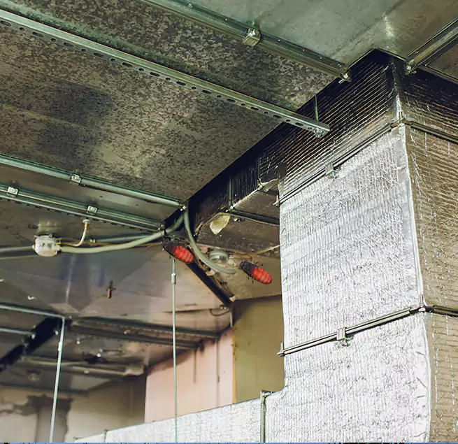 Why Homeowners & Businesses Trust Us Nacogdoches, TX?