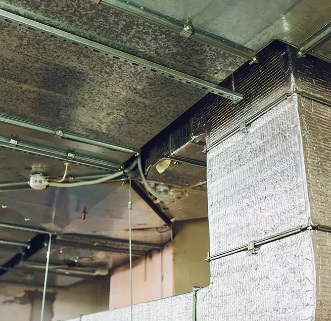 Why Homeowners & Businesses Trust Us in Nacogdoches, TX?